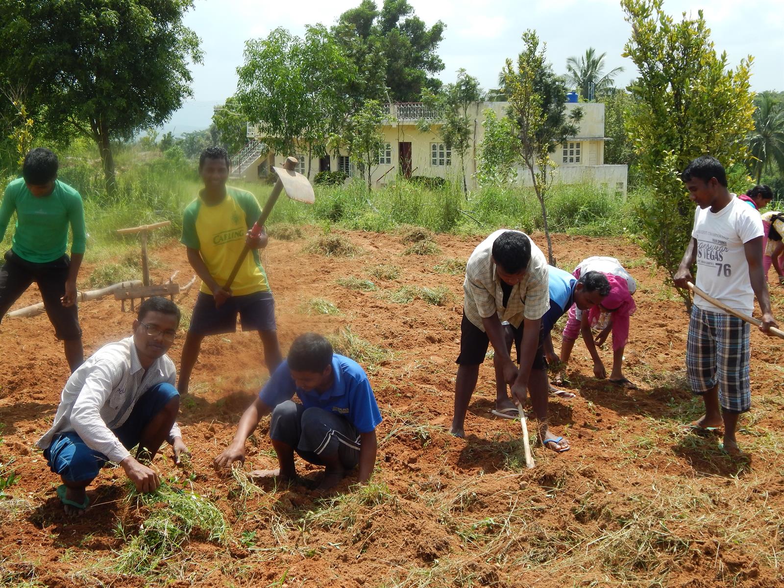 Practical Training 1